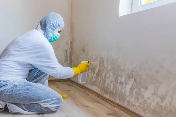 Bathroom Mold Removal assessment in Augusta bathroom