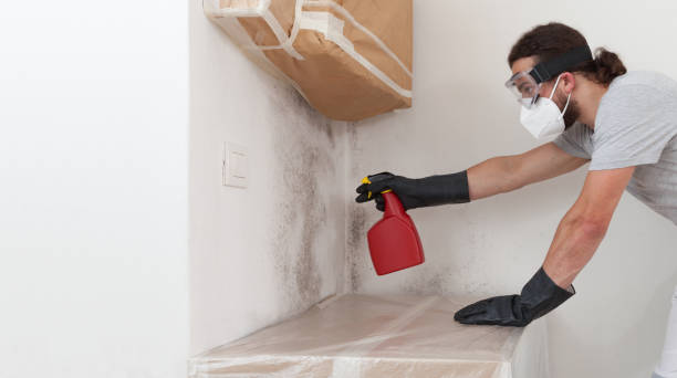 Attic Mold Remediation treatment on roof deck in Augusta